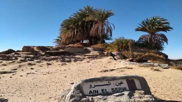 2 Nights Camping in the white desert from Cairo