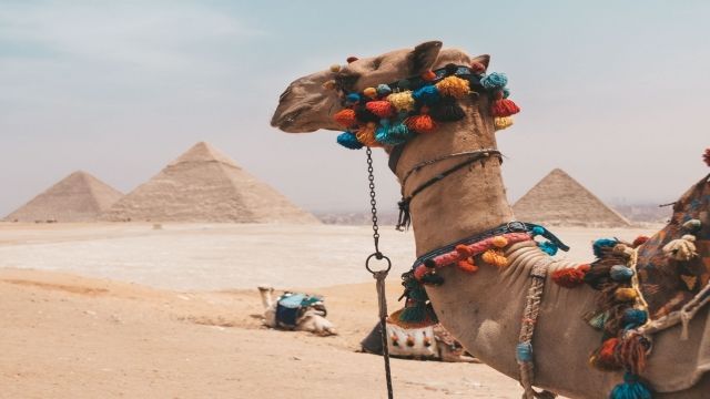 3 Day tour to Cairo from Hurghada by private vehicle