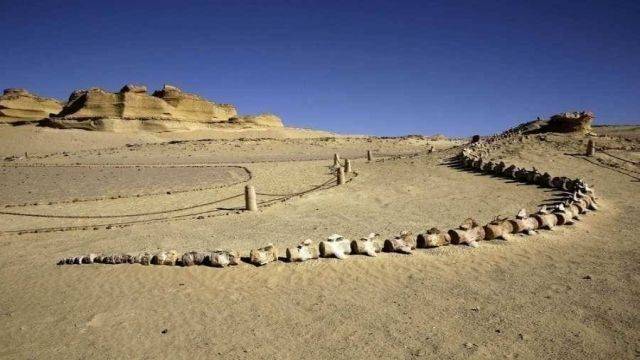 3 Day trip White desert and wadi el Hitan from Luxor