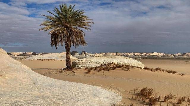 3 Day trip to the white desert and Djara Cave from Alexandria