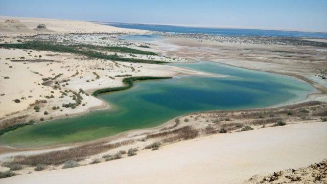 3 days trip White desert and wadi el Hitan from Cairo