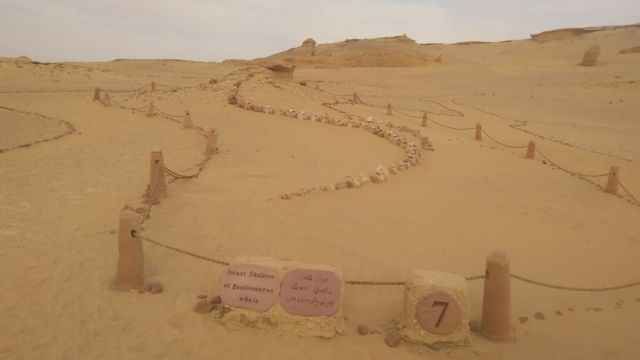 4 Day Trip Wadi el Hitan and the white desert from Alexandria 4 Day Trip Wadi el Hitan and the white desert from Alexandria