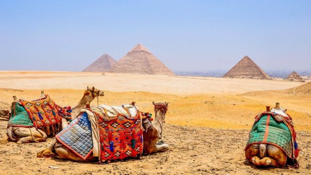 4 Days trip to the Pyramids and the white desert from Hurghada