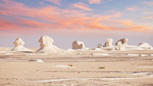 4 Days trip to the white desert and wadi el Hitan