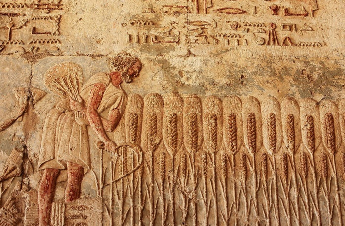 Al Minya tours from Hurghada Al Minya tours from Hurghada