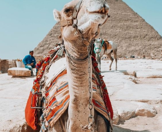 Cairo Tours From Sharm El sheikh