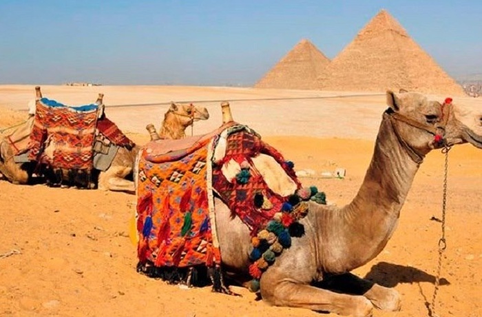 Cairo Tours From Soma Bay