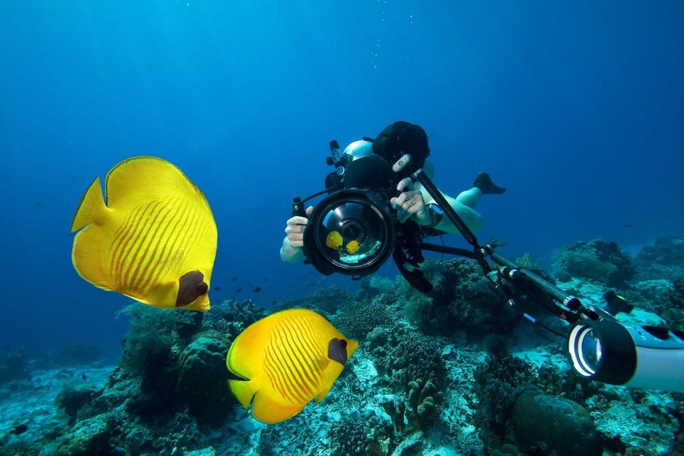 Day Scuba Diving Tour From Sharm EL Sheikh Port  Day Scuba Diving Tour From Sharm EL Sheikh Port