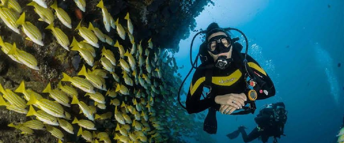 Day Scuba Diving Tour From Sharm EL Sheikh Port Day Scuba Diving Tour From Sharm EL Sheikh Port