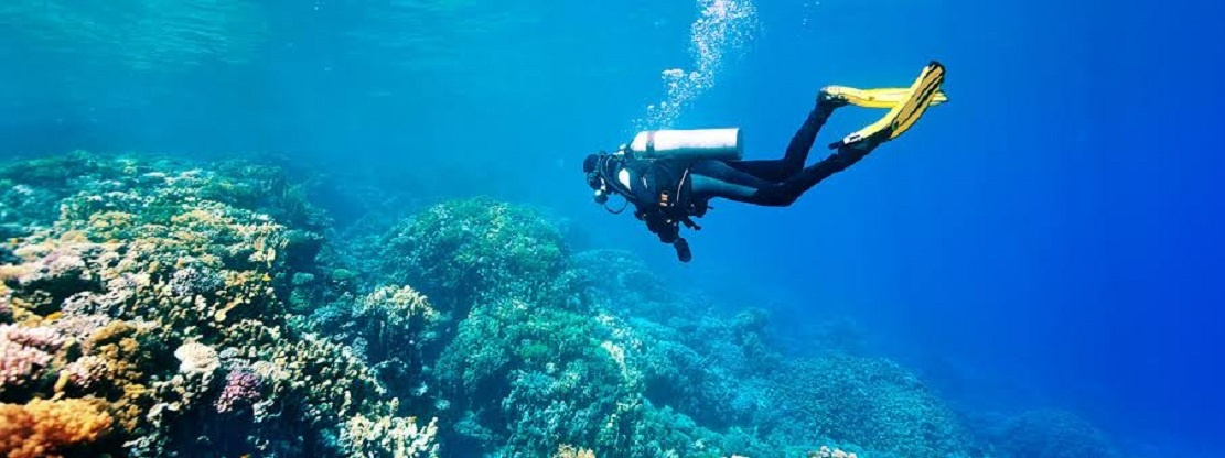 Day Scuba Diving Tour From Sharm EL Sheikh Port Day Scuba Diving Tour From Sharm EL Sheikh Port
