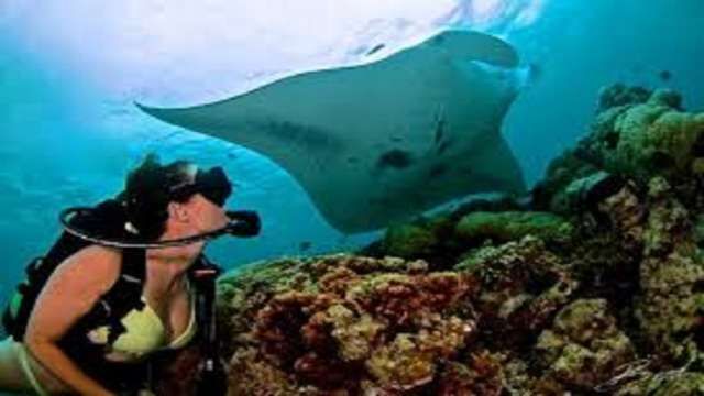 Day Scuba Diving Tour From Sharm EL Sheikh