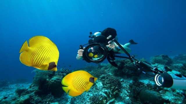 Day Scuba Diving Tour From Sharm EL Sheikh