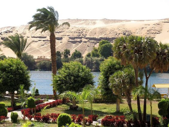 Day tour to Aswan Botanical Gardens