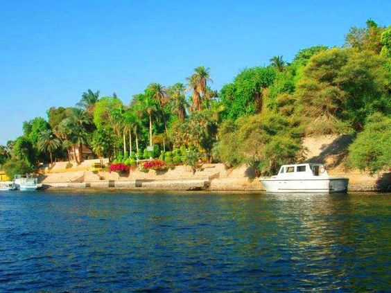 Day tour to Aswan Botanical Gardens