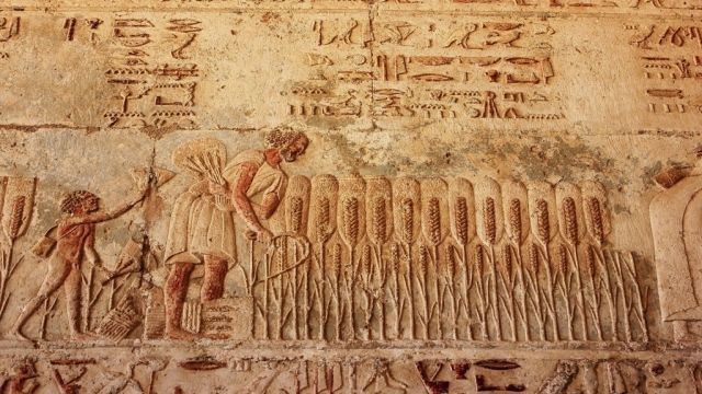 Day trip to Al Minya from Luxor