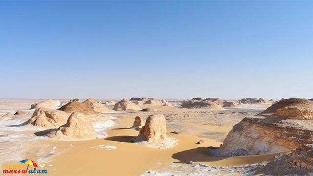 Day trip to Bahariya Oasis and white desert from Cairo