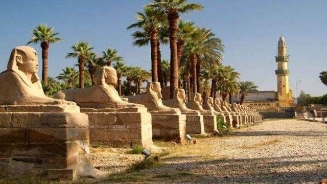 Day trip to Luxor from El Quseir