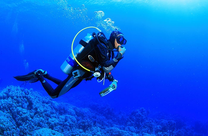 Diving Tours From El Quseir