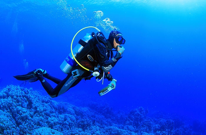 Diving Tours From Marsa Alam