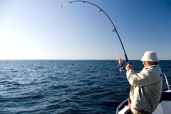 Fishing Trips from Sahel Hashesh