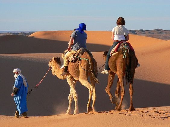 Golden Safari Tour from Sharm El sheikh