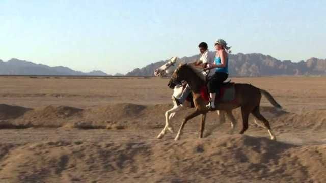 Horse riding in Sharm El Sheikh