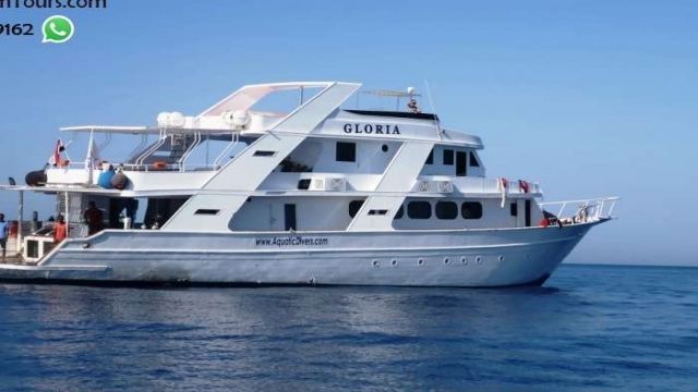 Private boat trip to Sataya dolphin Reef from Marsa Alam