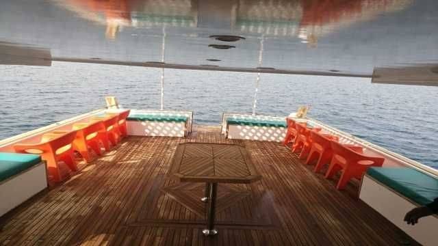 Private snorkeling boat Trip to dolphin house from Sahel Hashesh