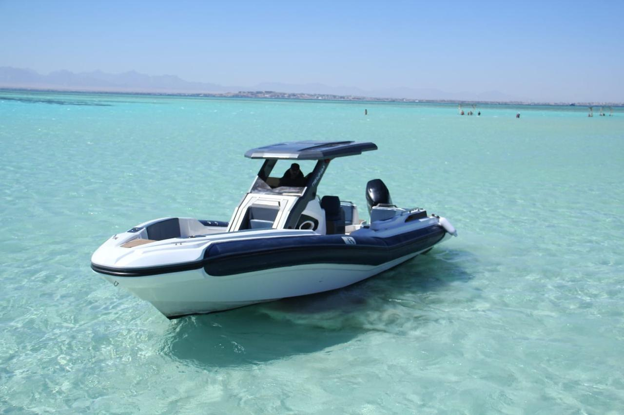Private Speedboat Tour to Dolphin House from Hurghada | Swim with Dolphins Private speedboat tour to the dolphin house from Hurghada