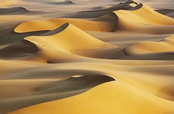 Safari trips from Fayoum oasis Safari trips from Fayoum oasis