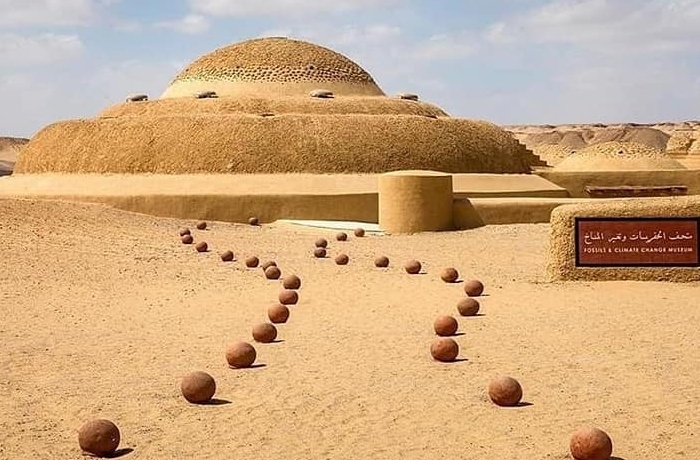 Safari trips from Fayoum oasis Safari trips from Fayoum oasis