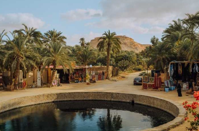 Siwa tours from Alexandria