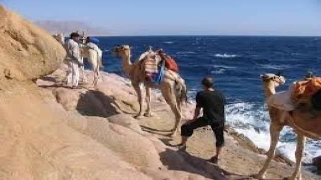 Snorkel trip in the Blue Hole with Camel ride from Sharm el Sheikh