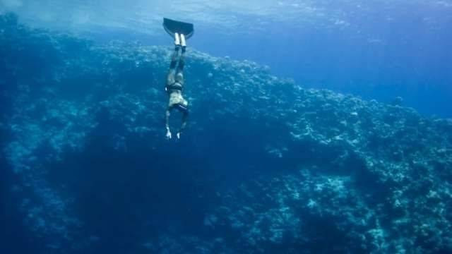 Snorkel trip in the Blue Hole with Camel ride from Sharm el Sheikh