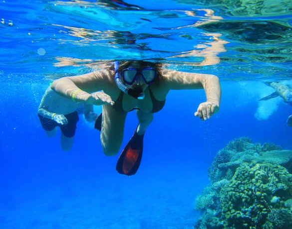 Snorkeling trips from Sahl Hasheesh