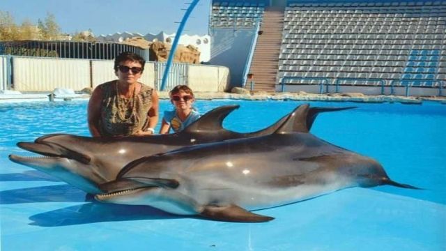 Swim with dolphins in Hurghada
