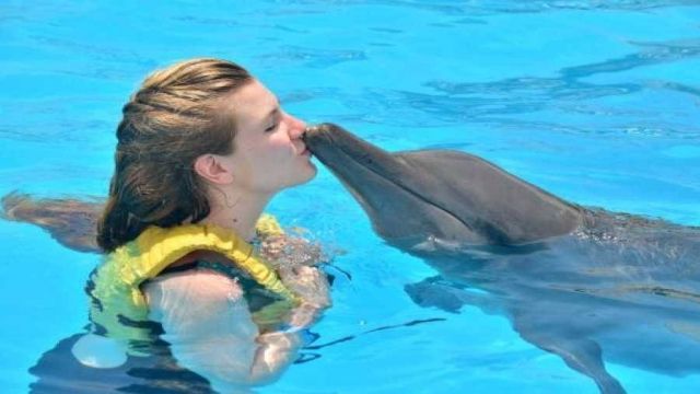 Swim with dolphins in Marsa Alam