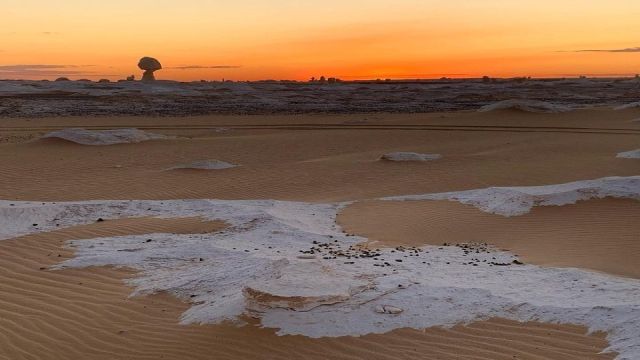 Three days tour to Bahariya Oasis and white desert from Cairo