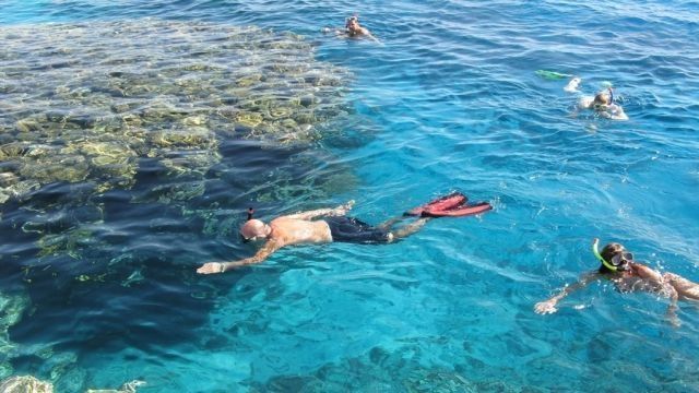 Tiran island snorkeling boat trip  from Sharm el Sheikh