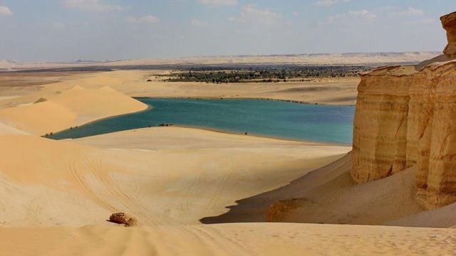 Wadi Al Hitan day trip from Fayoum oasis