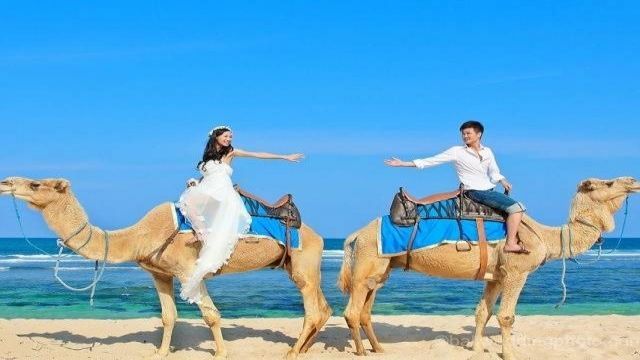 camel riding Portghalib day tour