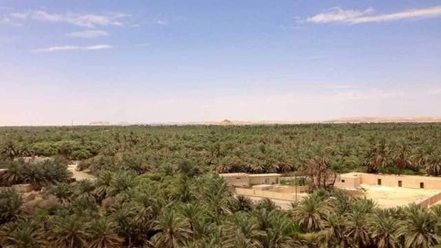 7 Tage Ägypten Reiseroute Kairo und die Weiße Wüste
