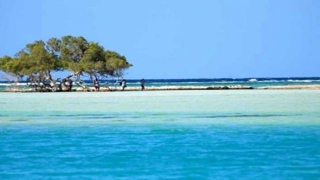 Marsa Alam Touren zu Sharm El Luli Schnorcheltouren