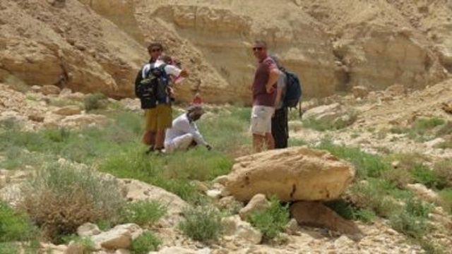 Privatausflug nach Wadi El Gemal von Marsa Alam