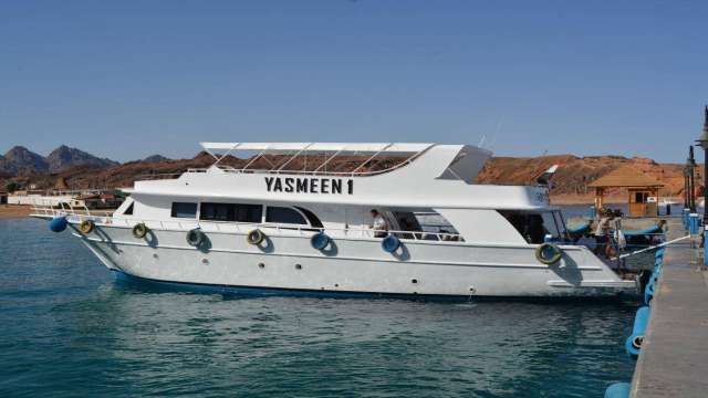 Privater Bootsausflug zum Schnorcheln zur Insel Tiran