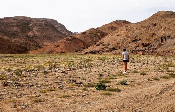 Safariausflüge ab Marsa Alam