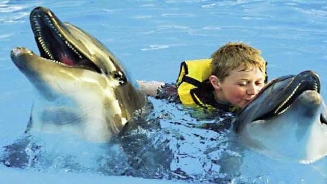 Schwimmen Sie mit Delfinen in Hurghada