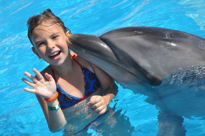 Schwimmen mit Delfinen Hurghada