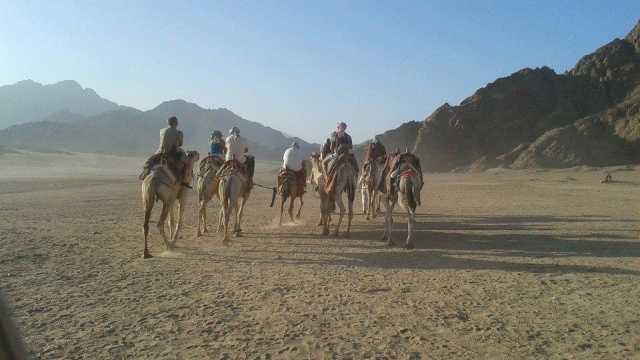 Super Safari Ausflug von Hurghada Super Safari Ausflug von Hurghada