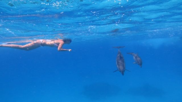 Übernachtung Schnorchelausflug in Sataya Dolphin Reef Marsa Alam